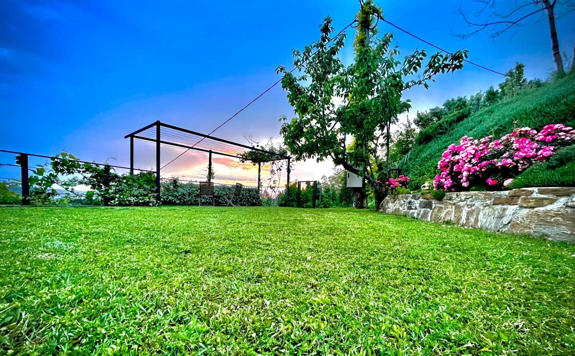 Sea View Olive Retreat Apartment Portoroz Exterior photo