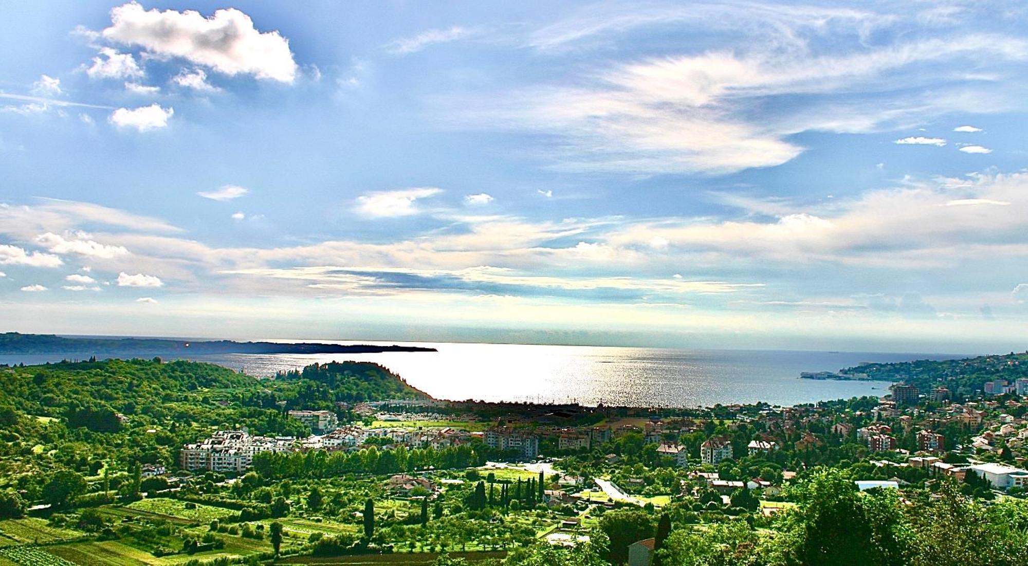 Sea View Olive Retreat Apartment Portoroz Exterior photo